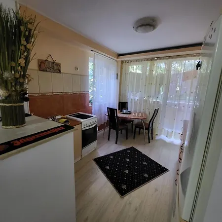 Black Sea Apartment Constanta