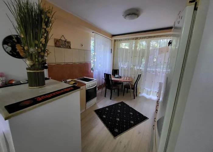 Black Sea アパート コンスタンツァ